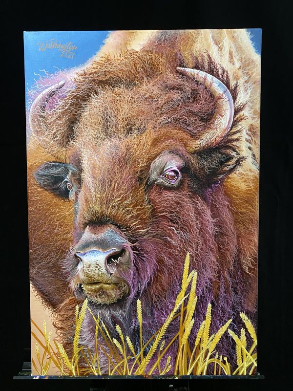 Bison acrylic painting